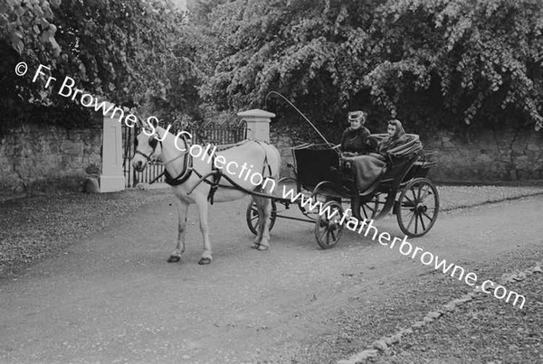 MRS FRANK LILLIS WITH MARY IN PHAETON